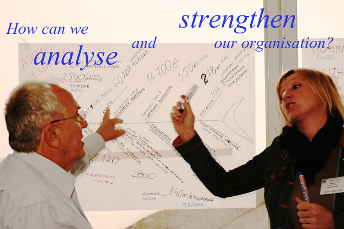 How can we analyse and strengthen our organisation?